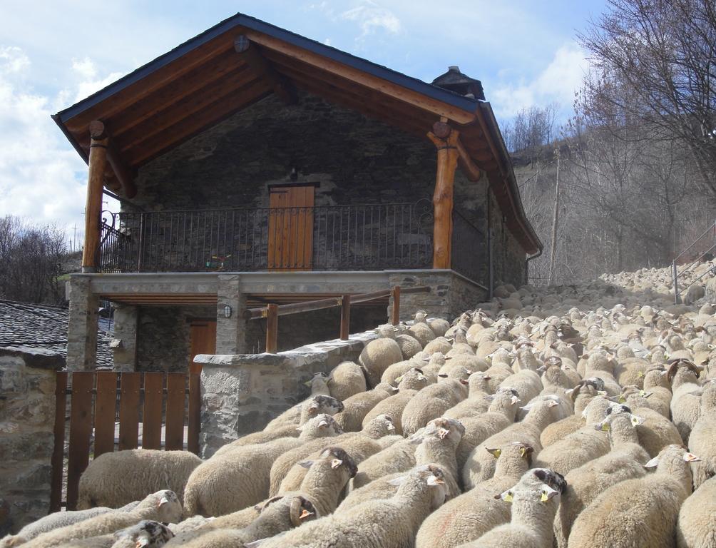 La Cabanya De Cal Forn De Serrat Gospodarstwo wiejskie